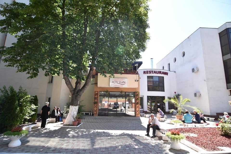 Hotel Silvana Buzias Luaran gambar